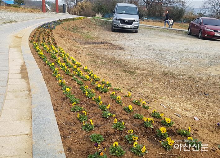 4. 온양6동, 쓰레기불법투기 꽃밭조성 - 2번 사진.jpg