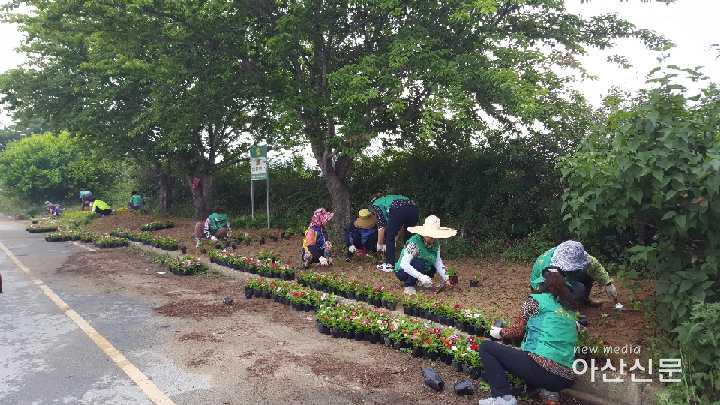 2. 인주면 새마을, 꽃식재.jpg