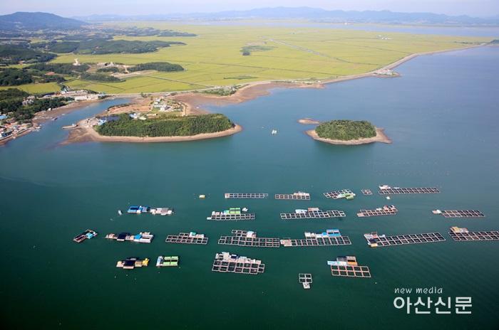 천수만_가두리_양식장(태안군_제공).JPG