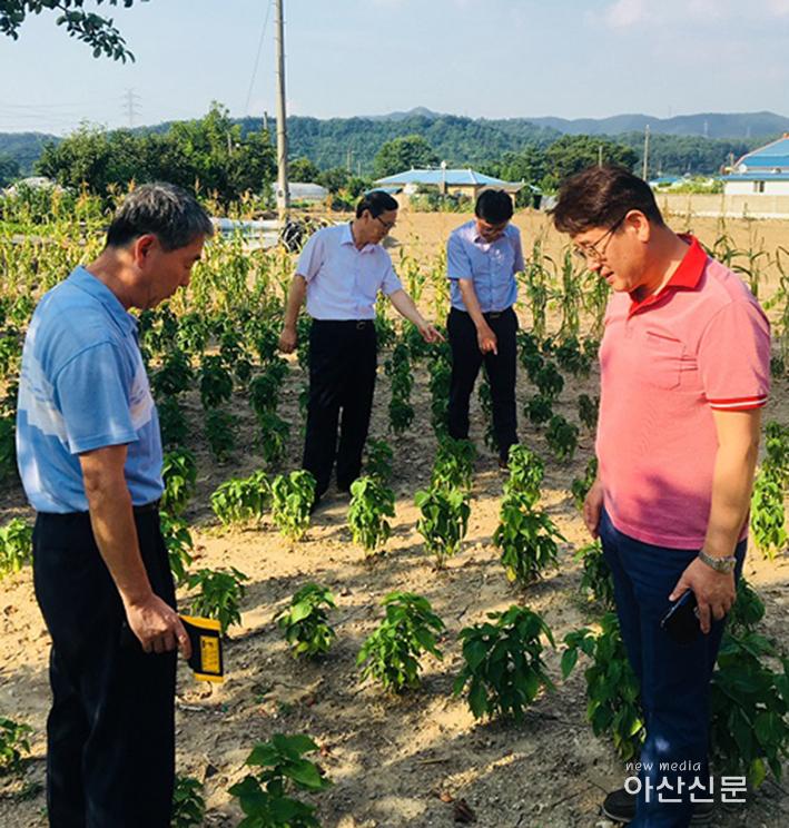 3. 농정과, 폭염피해 최소화 농작물재해대책운영본부 가동.jpg