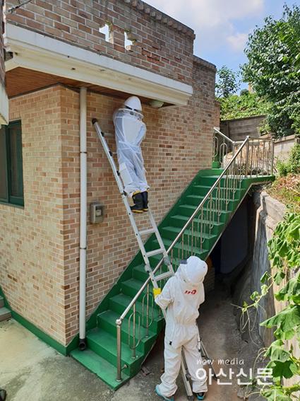 관련사진(벌집제거).jpg