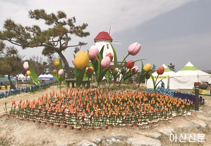 00-툴립축제.jpg