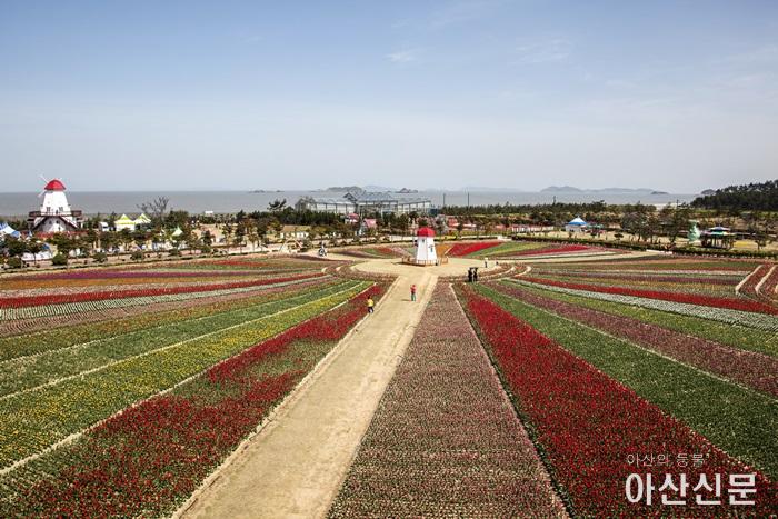 신안튤립축제_튤립공원_030.jpg