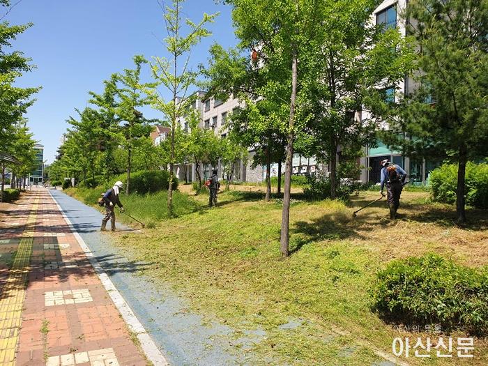 3. 배방 예초 작업 중_8341.tmp.jpg