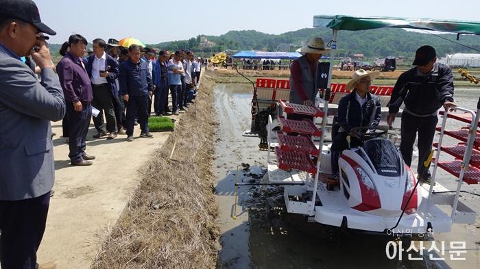 5. 벼밀파모2.JPG