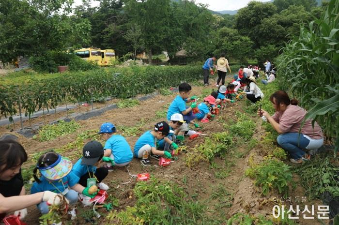 2. 어린이 텃밭체험2.jpg