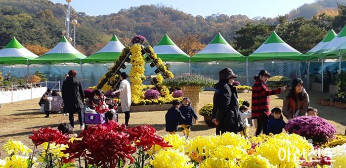2-2. 아산시, 제13회 아산시국화전시회 개최.jpg