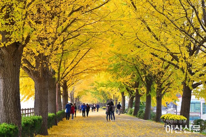 2-1. 진정한 가을의 정취, 아산시에서 느끼다.jpg