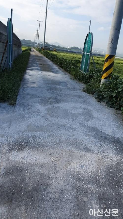 3. 아산시, 여름철 아프리카돼지열병 양돈농가 차단방역 강화.jpg