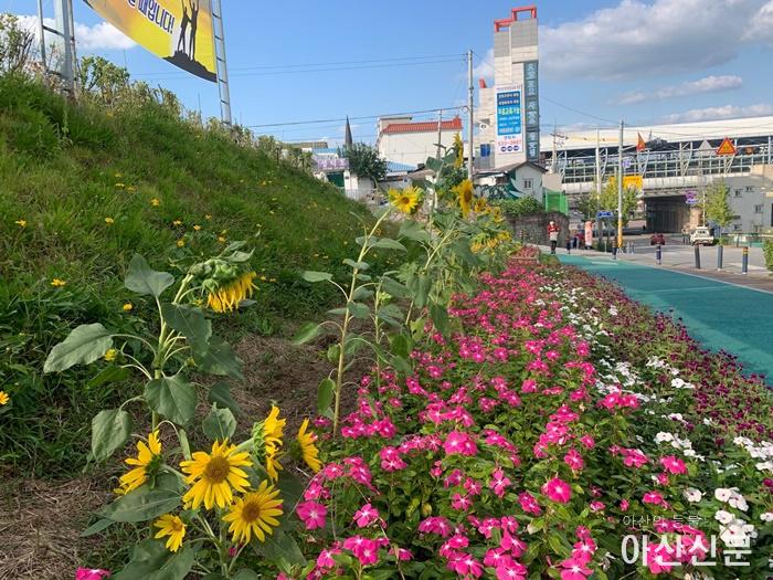 4. 온양2동, 가을 색채로 마음을 치유하다.jpg