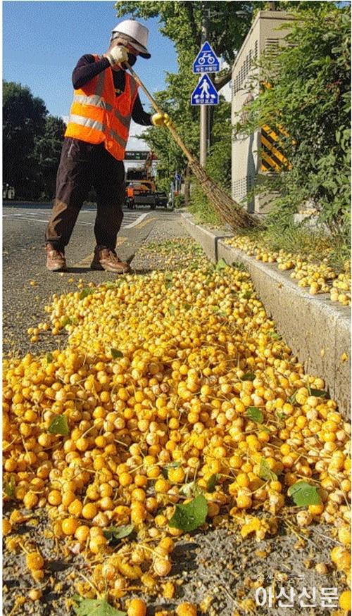 2-1. 아산시, 도심지 가로환경 변화 준비 스타트.jpg