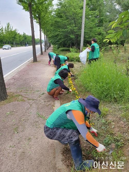 4. 온양3동 새마을회, 여름맞이 꽃길 제초작업 실시.jpg