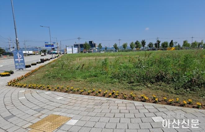 9. 온양1동, 화사한 여름꽃 식재 완료.jpg