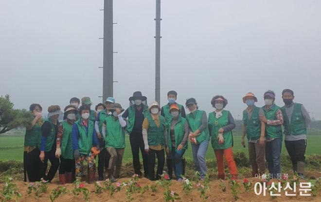 12. 둔포면 새마을협의회, 가로화단 여름 맞이 꽃단장.jpg