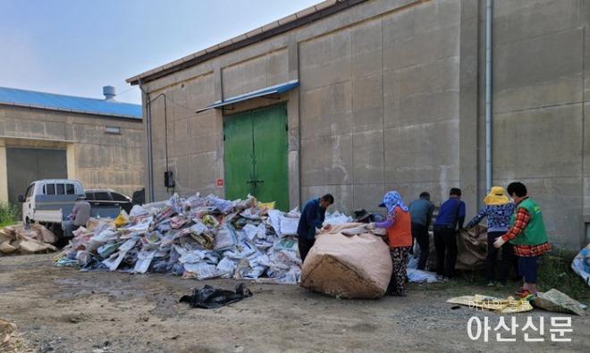 18. 선장면 새마을남·녀협의회 『폐비닐·폐농약병 수거활동』 또다시 실시.jpg