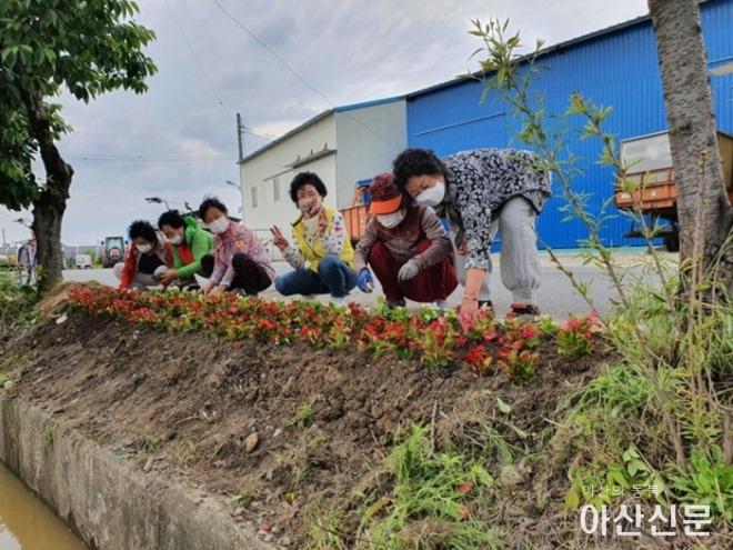 6-1. 선장면, 여름을 맞이하는 주민들의 초화식재.jpg