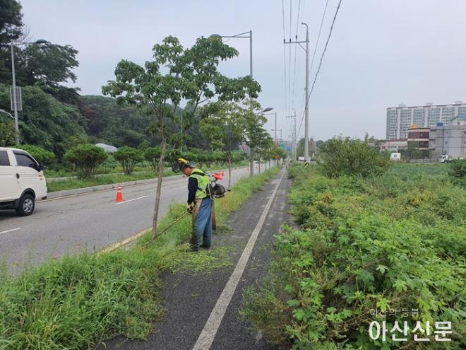 2-3. 아산시, 추석맞이 도시환경정비 스타트.JPG