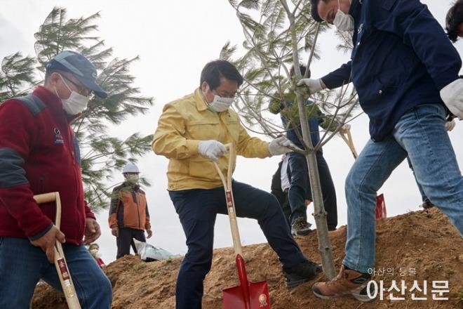 3-2. 아산시, 미세먼지 저감 녹색도시 만들기 앞장서.jpg