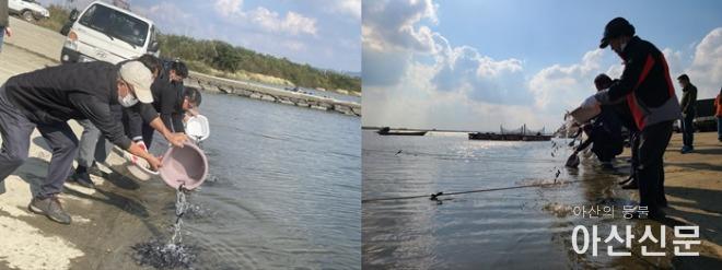 4. 아산시, 삽교호 토종어류 복원에 힘쓰다.jpg