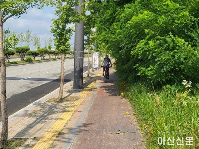 자전거도로.jpg