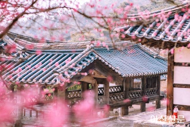 1-1. 논산 종학당.jpg